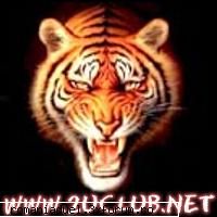 Aici poate chetui oricine - IL VOTEZ PE COSMIN !!!!11 VOTATIL PE COSMIN - CHAT
