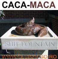 Base` nr 1 in cs - CACA-MACA :)) Hehe - Poza zilei